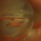 nini.com thumbnail