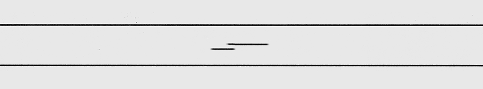 Music | Multicast Dynamics