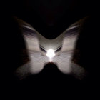 €^£^¥^ß thumbnail