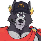Aerofur09 thumbnail