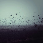 Crowfield Battalion thumbnail
