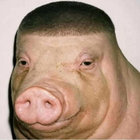 stsilva thumbnail