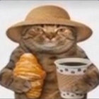stshpt01 thumbnail