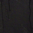frankshutdale thumbnail