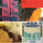 WHO Zoo (electric) | WHO trio | Auricle Records