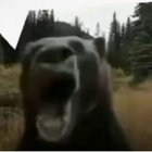icantbearitanymore thumbnail
