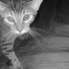 ihaveme(n)ow thumbnail