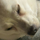 charlie pastuszenski thumbnail