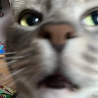NAT_1212 thumbnail