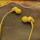 Willow thumbnail