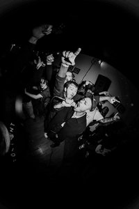 Jeweltone — Photo