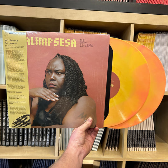 Palimpsesa