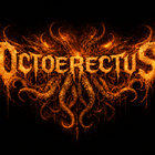 octoerectus thumbnail