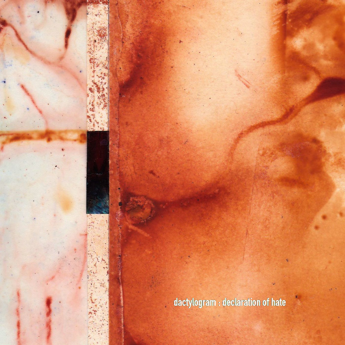 You Can't Kill Me | Dactylogram