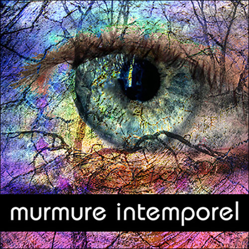 CONRAD SCHNITZLER - 00/046 - Computer Jazz | MURMURE INTEMPOREL