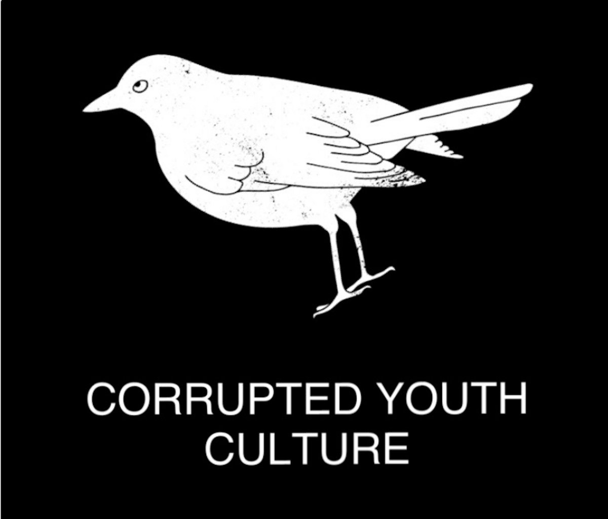 Music | Corrupted Youth Culture