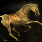 Uneven Paths: Deviant Pop From Europe 1980-1991 | Various Artists