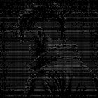 dominik thumbnail