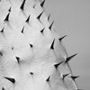 Musique Hydromantique | Tomoko Sauvage