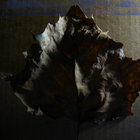 JayEff thumbnail