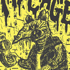followyourleader thumbnail