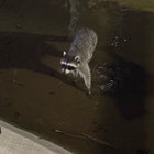 _sooup_ thumbnail