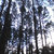 Bandcamp profile picture for @disturbing