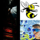 jakebrien thumbnail