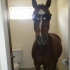 coolbirdaccount thumbnail