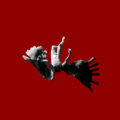 UNWING image