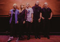The Mowgli's image