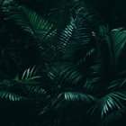 o2digital thumbnail