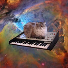 Hildy Fine aka Jane Fondu thumbnail