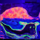 spacedmofo thumbnail