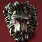 lionredplanet thumbnail