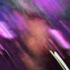 ripan thumbnail
