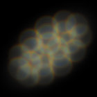 Wafflebob thumbnail