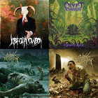 Voracious Contempt | Internal Bleeding | Back On Black