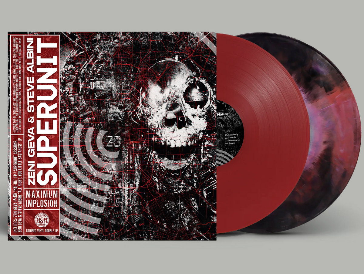 ☆希少☆ インプレッション オブ 彦根 / MIND UP SUPER BAND Superunit: Maximum Implosion | Zeni Geva and Steve Albini | Zeni Geva