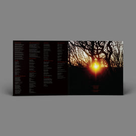 Red Sun Rising - 12" LP Gatefold Red Vinyl, image 2