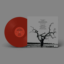 Red Sun Rising - 12" LP Gatefold Red Vinyl, image 3