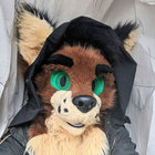 shaggyfox thumbnail