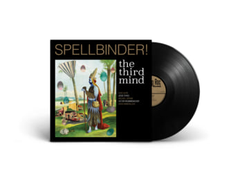 Vinyl, image 1