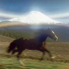 camborger thumbnail