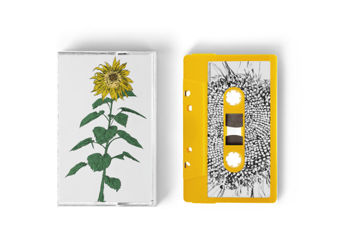 007: Brian d'Souza (Sunflowers) | Brian d'Souza | Auntie Flo