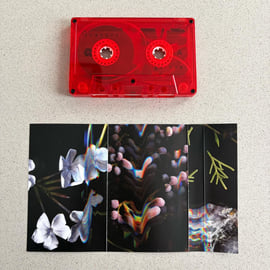Limited Edition Cassette, image 3