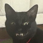 ʷᵃᵏᵉ’ⁿ’ᵇᵃᵏᵉ thumbnail