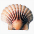 user9992026 thumbnail