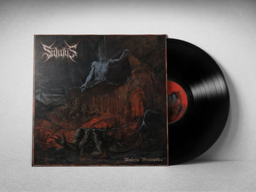 12" Classic Black Vinyl, image 1