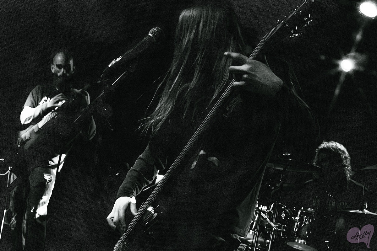 CRYPTIC DEMO | DARKDRUID